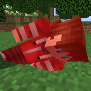 AppityLIVE